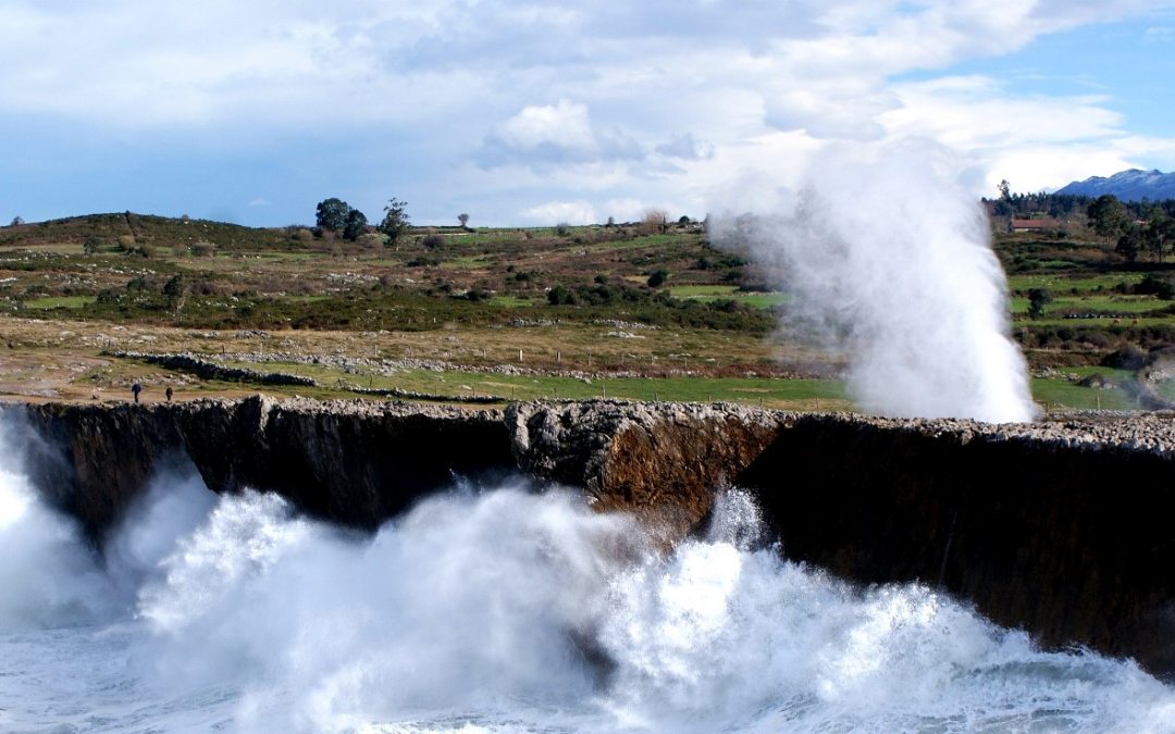 Los bufones de Pria