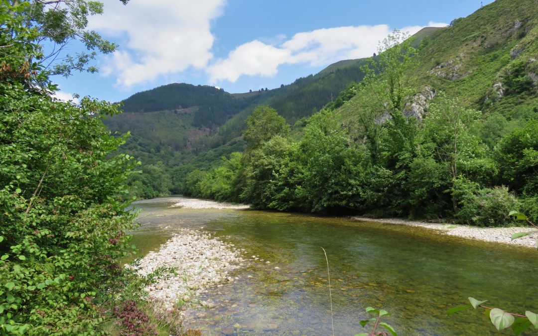 El Sella: Más Que Un Río